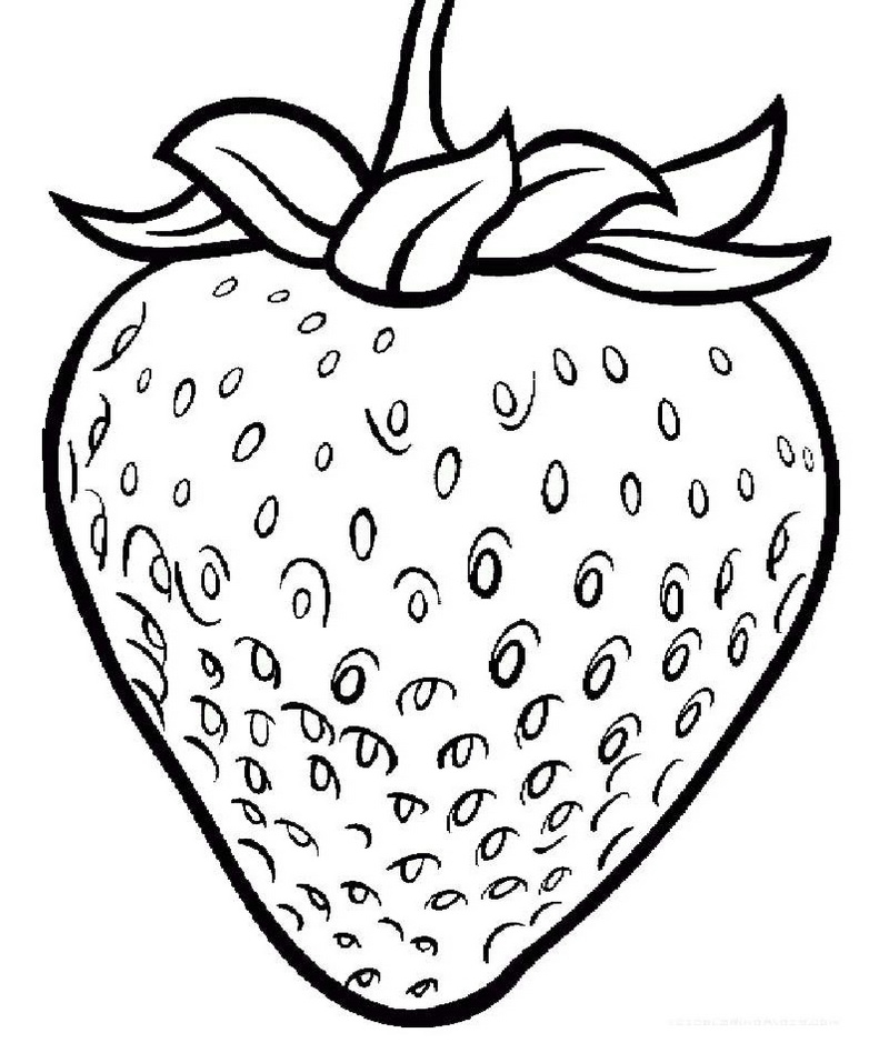 Strawberry Printable Coloring Pages