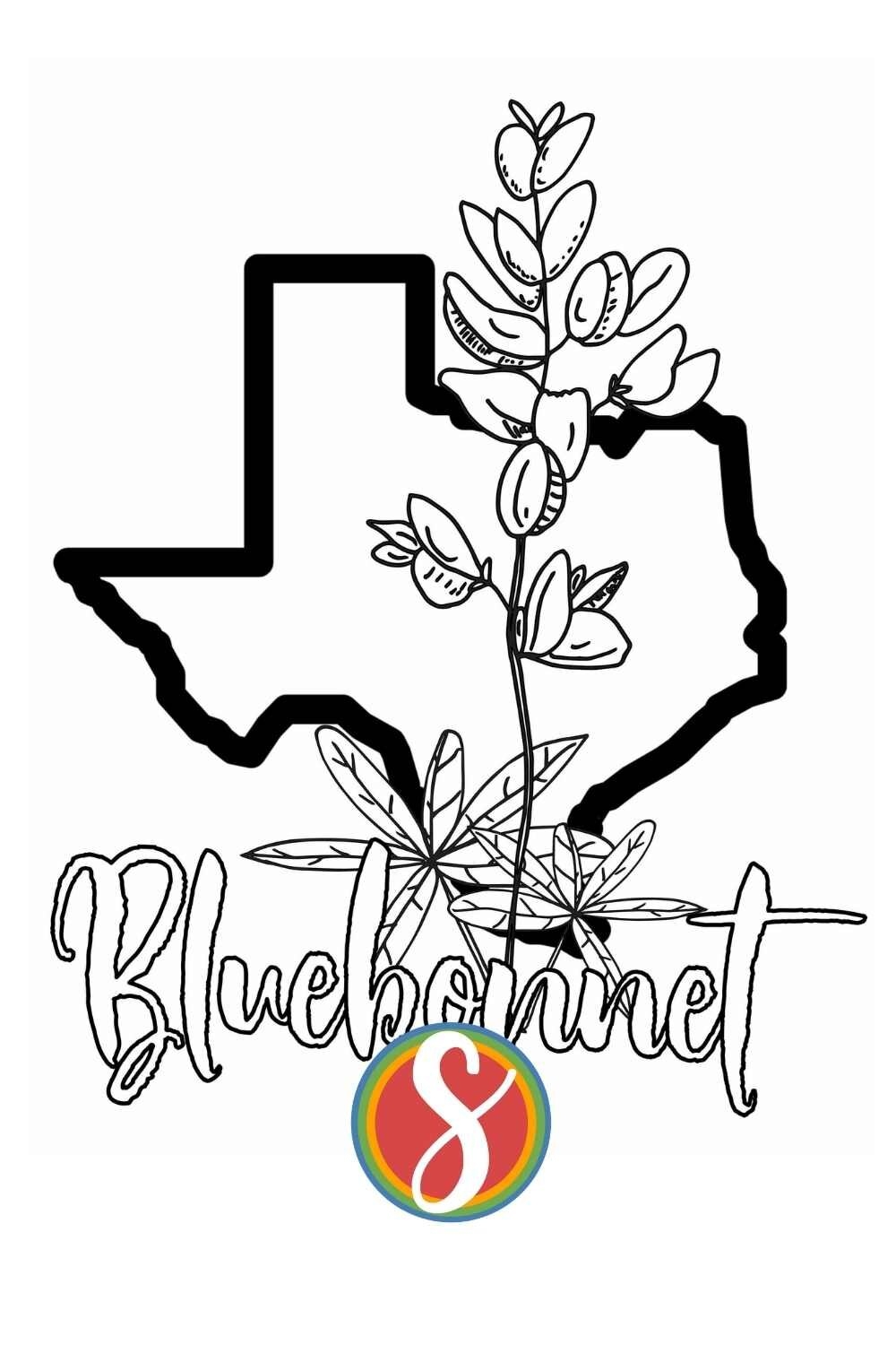 Free Texas Coloring Pages Stevie Doodles