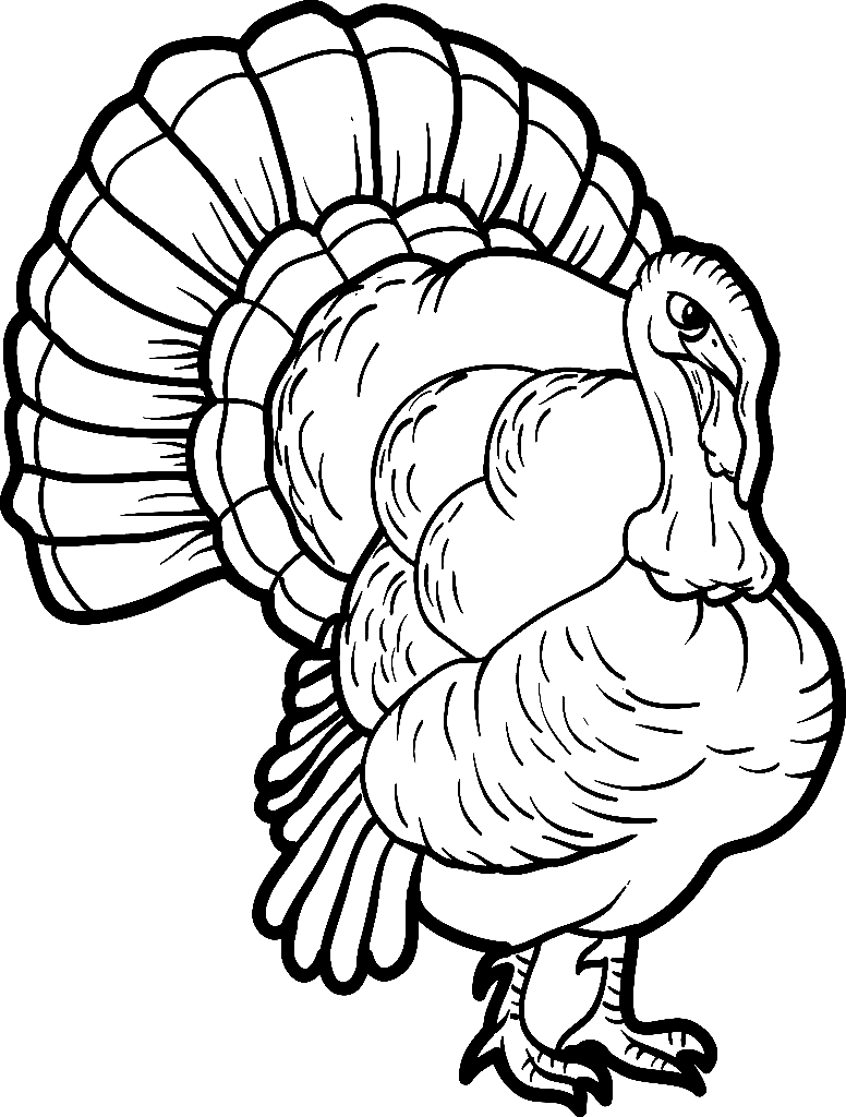 Free Turkey Sheets Coloring Page Free Printable Coloring Pages Free Turkey Sheets Coloring Page Free Printable Coloring Pages
