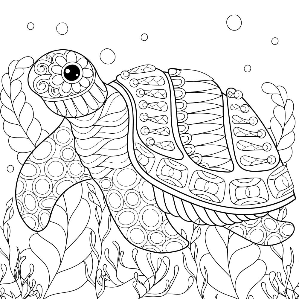 Free TURTLE Coloring Pages For Download Printable PDF Free TURTLE Coloring Pages For Download Printable PDF