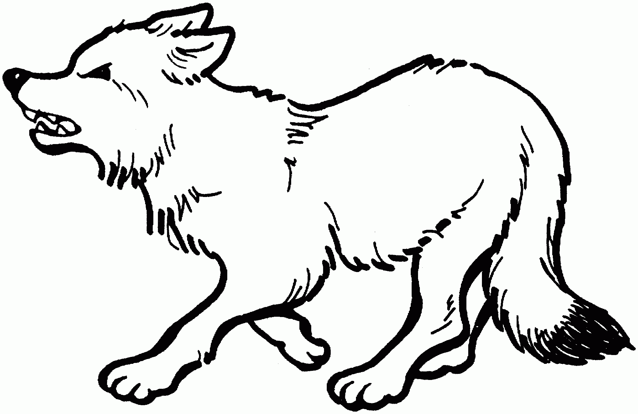 Free Wolf Coloring Pages Free Wolf Coloring Pages