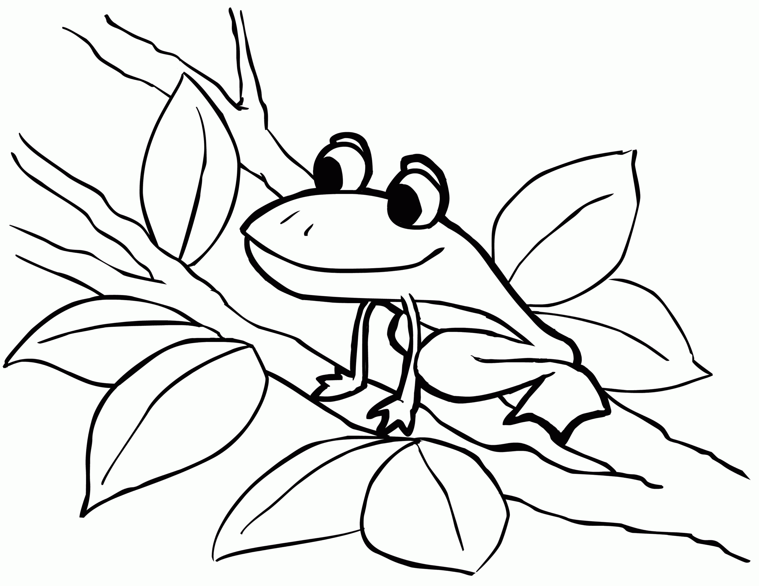 Frog Printable Coloring Pages Frog Printable Coloring Pages