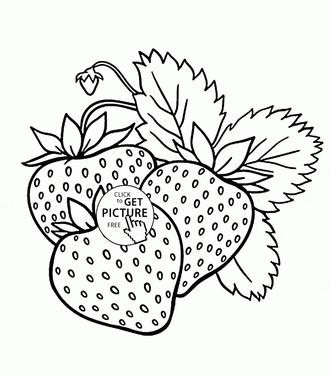 Fruit Coloring Pages Printable
