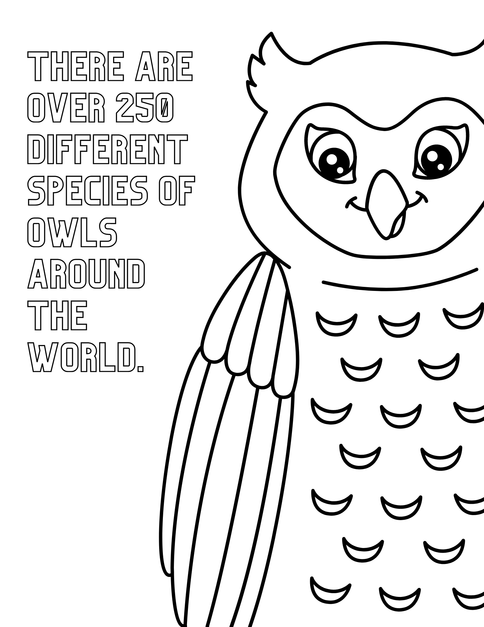 Fun Owl Facts And Free Printable Owl Coloring Pages Fun Owl Facts And Free Printable Owl Coloring Pages
