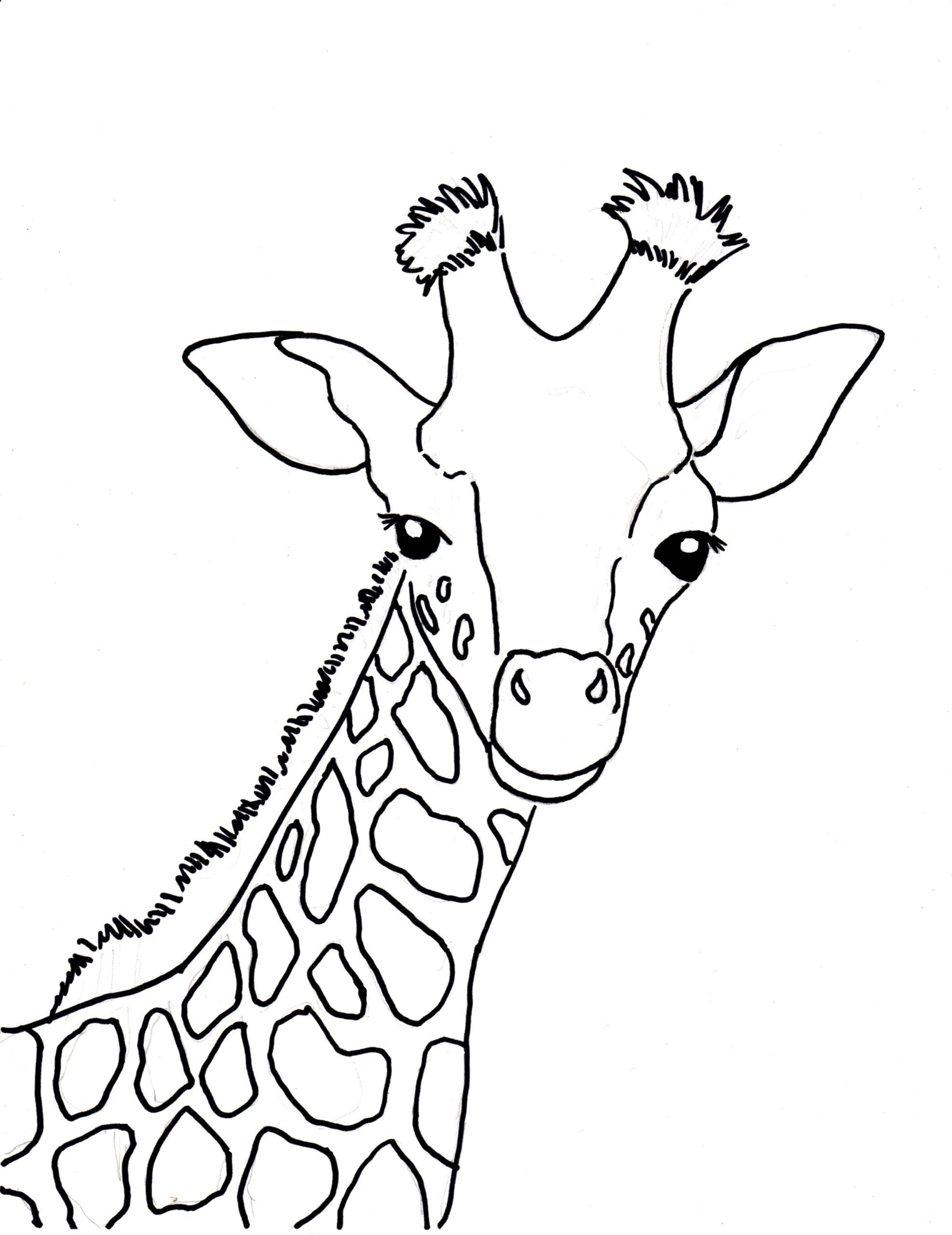Funny Giraffe Coloring Pages At GetColorings Free Printable Funny Giraffe Coloring Pages At GetColorings Free Printable