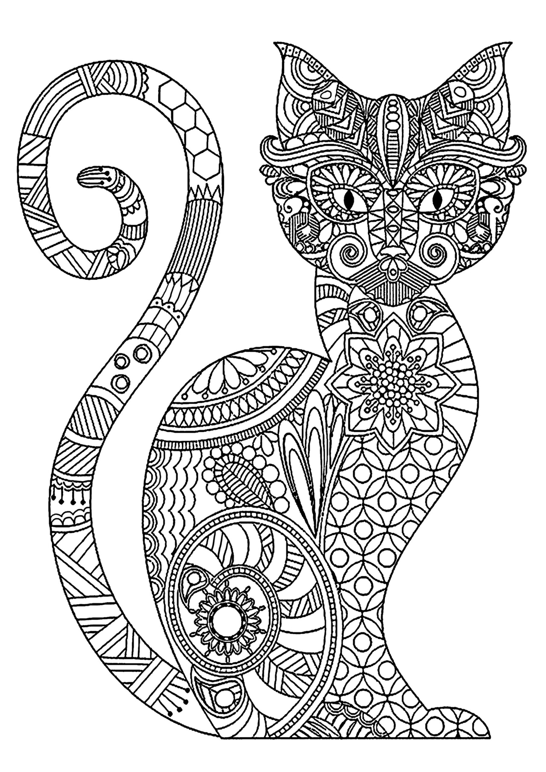  FyzGY