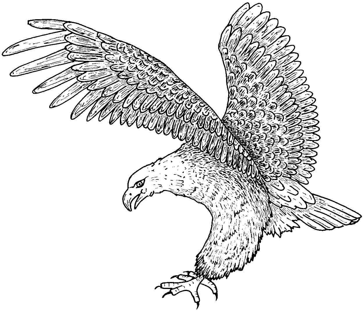 Gambar Free Printable Eagle Coloring Pages Kids Di Rebanas Rebanas Gambar Free Printable Eagle Coloring Pages Kids Di Rebanas Rebanas