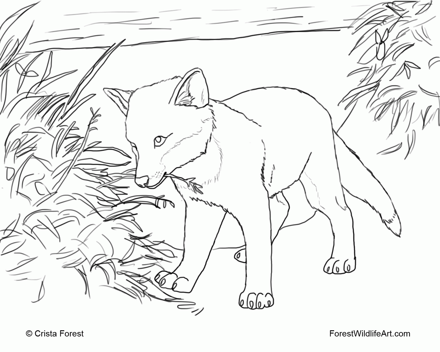  Get Creative With Cute Baby Fox Coloring Pages 