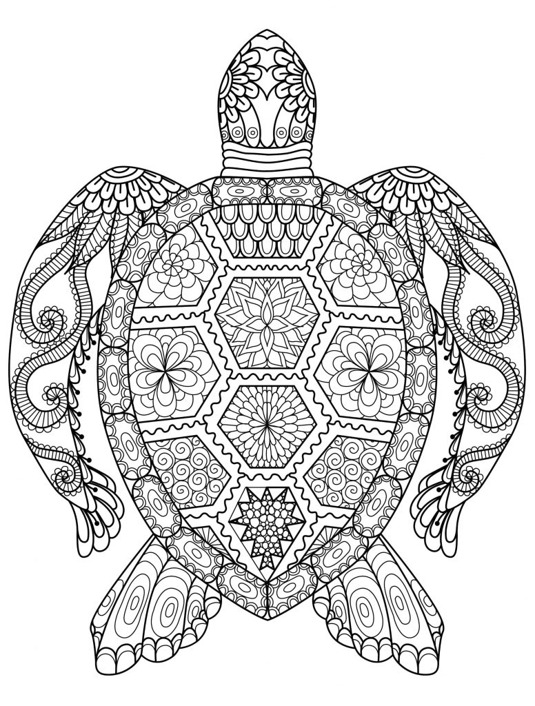 Get This Adult Coloring Pages Animals Turtle 1 Get This Adult Coloring Pages Animals Turtle 1