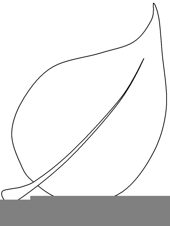Get This Blank Leaf Coloring Pages Printable Ut5b1 Get This Blank Leaf Coloring Pages Printable Ut5b1