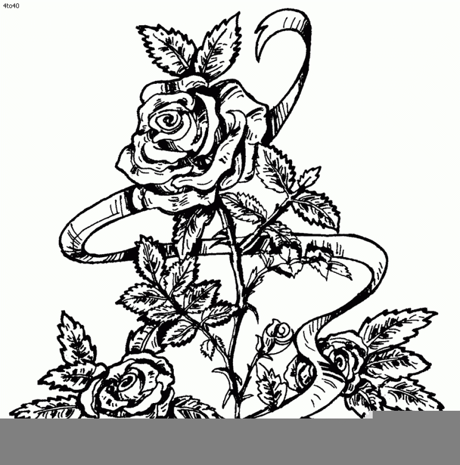 Get This Printable Roses Coloring Pages For Adults 41558