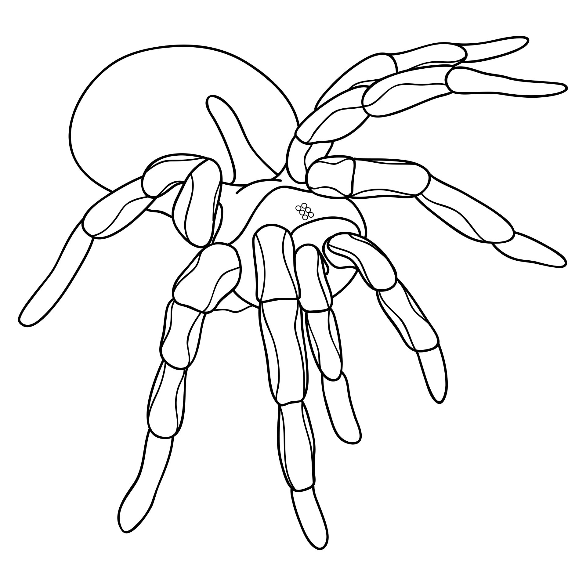 Ghost Spider Coloring Pages Printable Ghost Spider Coloring Pages Printable