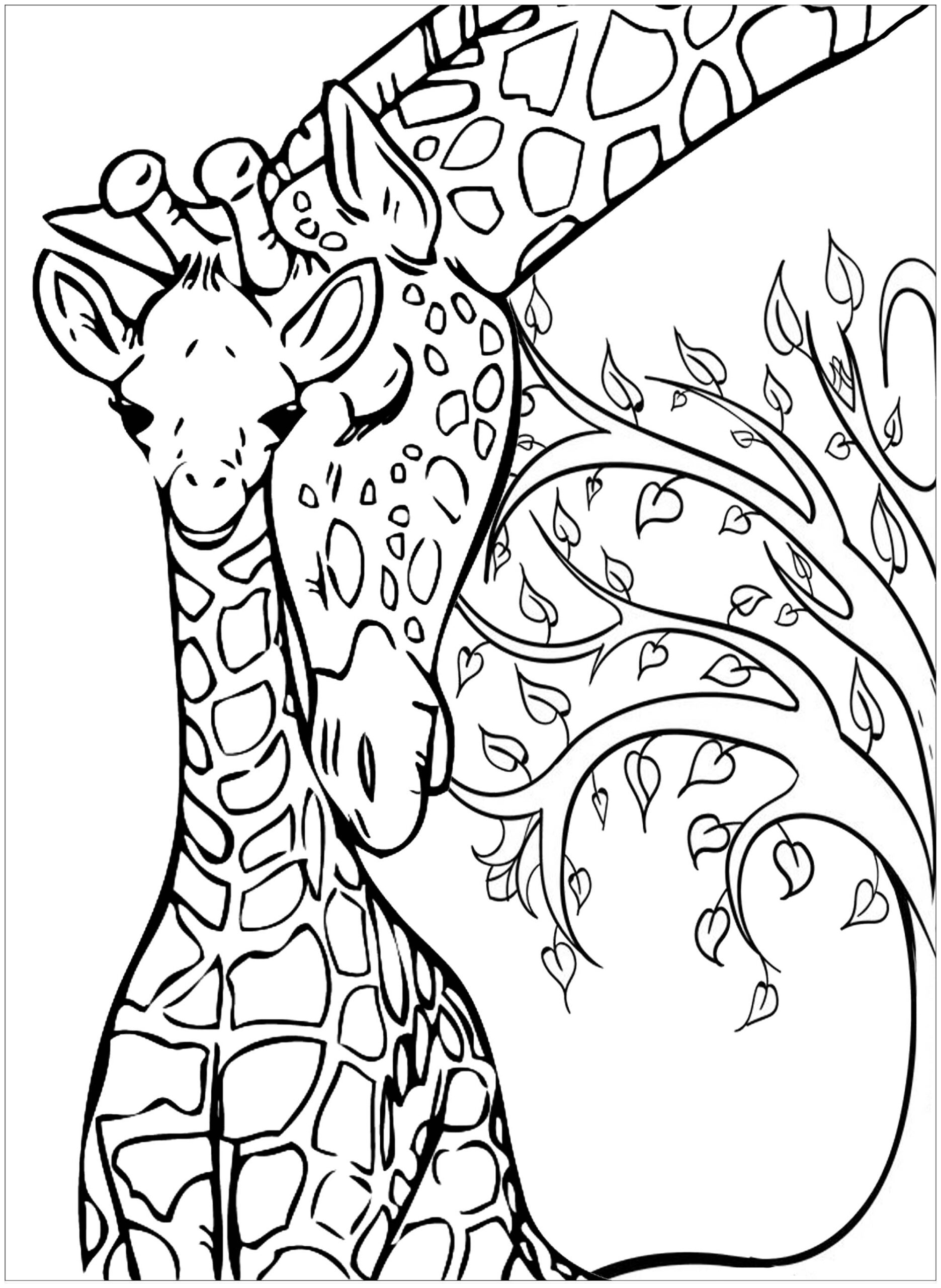 Giraffe Printable Coloring Pages Printable Templates
