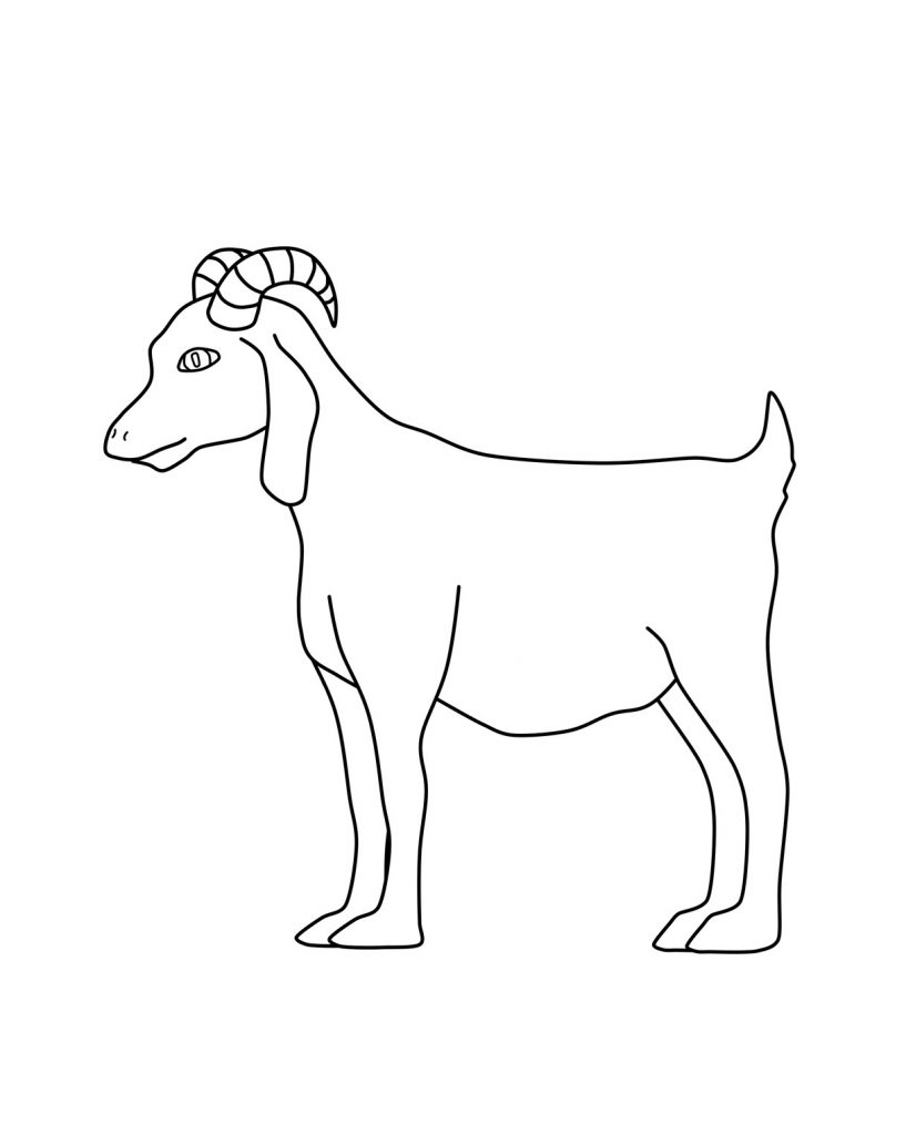 Goat Printable Coloring Pages Goat Printable Coloring Pages