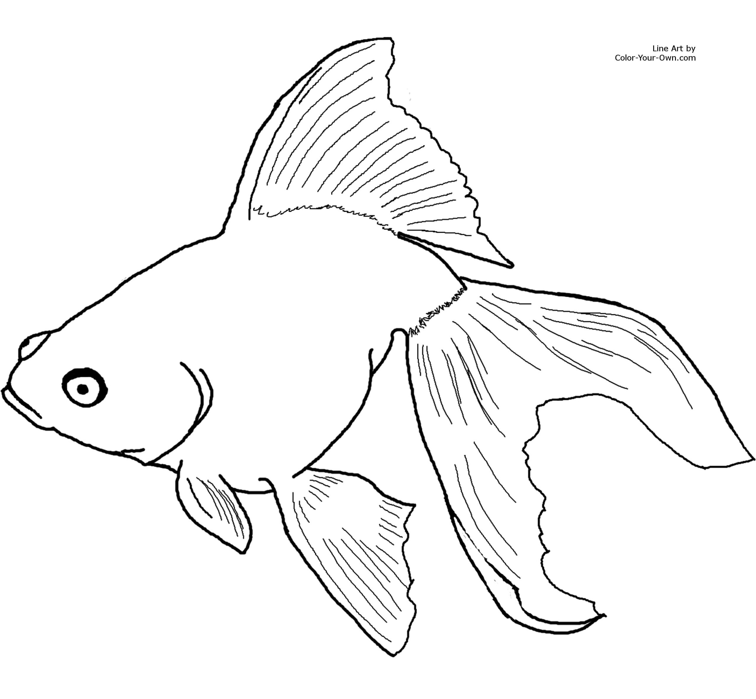 Goldfish Coloring Pages Printable