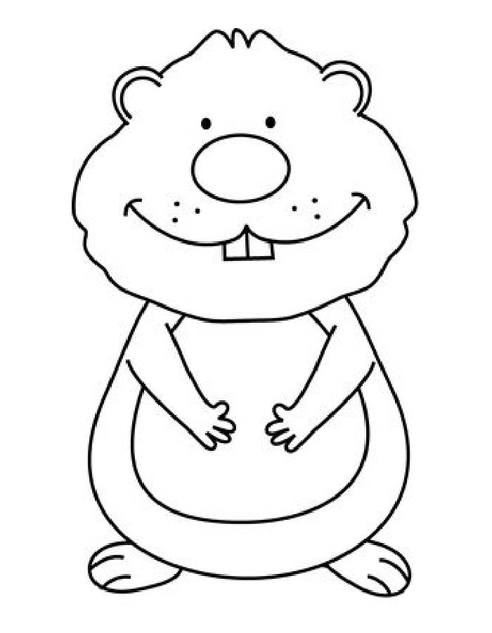 Groundhog Coloring Pages Free Printable PDF 