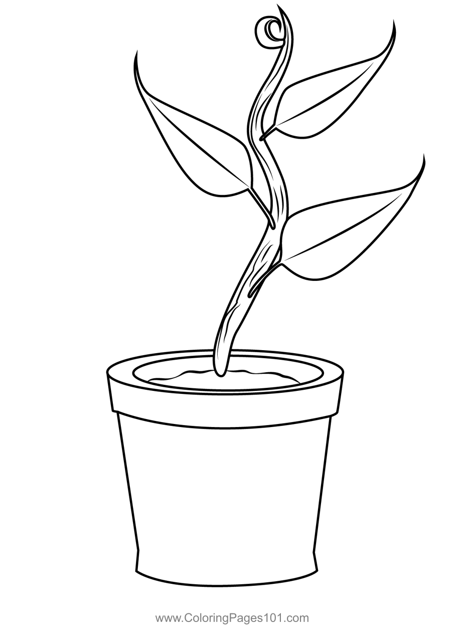 Plant Printable Coloring Pages Plant Printable Coloring Pages