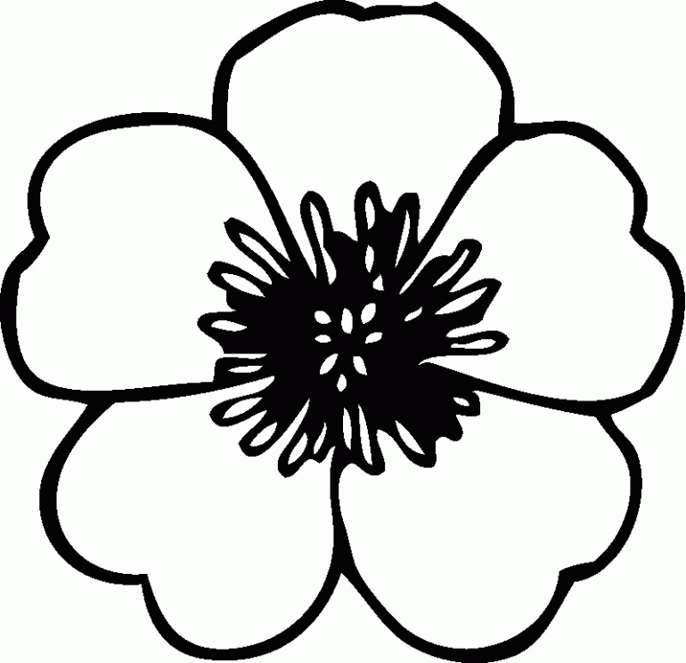 Hawaiian Flowers Color Tropical Flowers Coloring Pages Printable Hawaiian Flowers Color Tropical Flowers Coloring Pages Printable