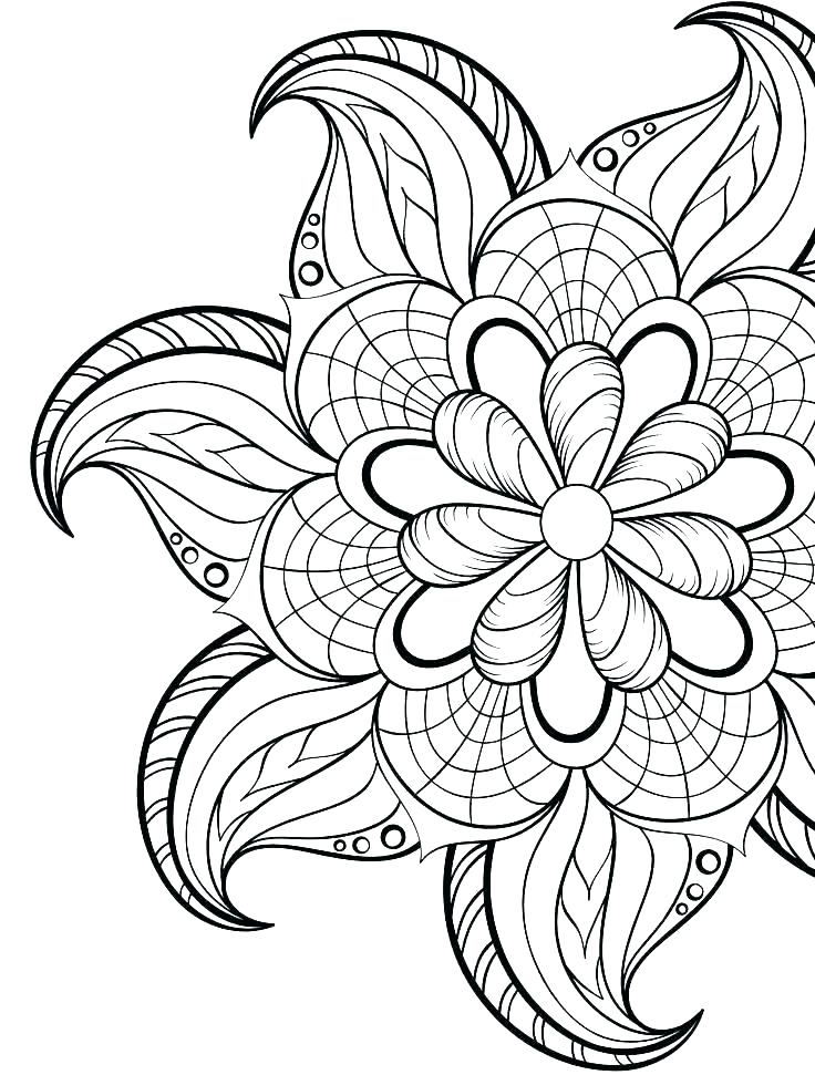 Hibiscus Line Drawing Free Download On ClipArtMag Hibiscus Line Drawing Free Download On ClipArtMag