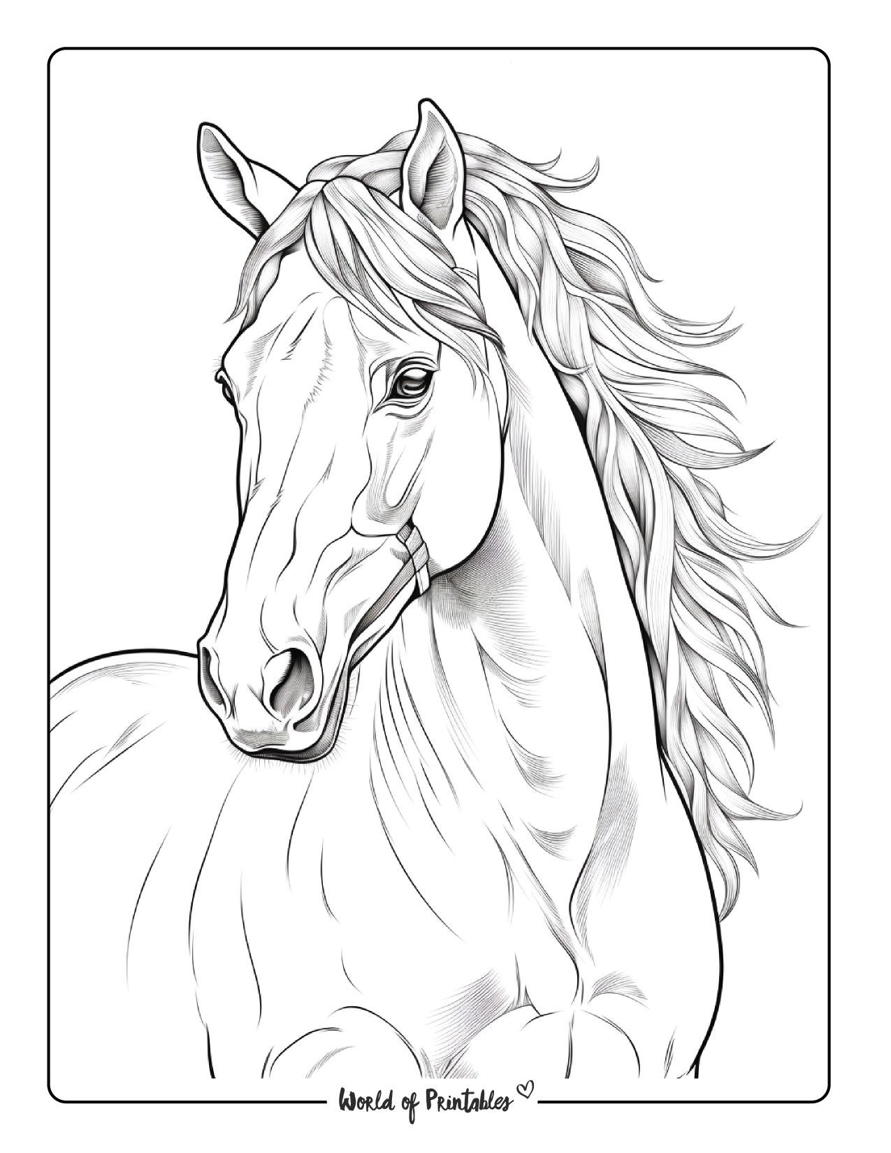 Horse Coloring Pages For Kids Adults World Of Printables In 2024 Horse Coloring Pages For Kids Adults World Of Printables In 2024