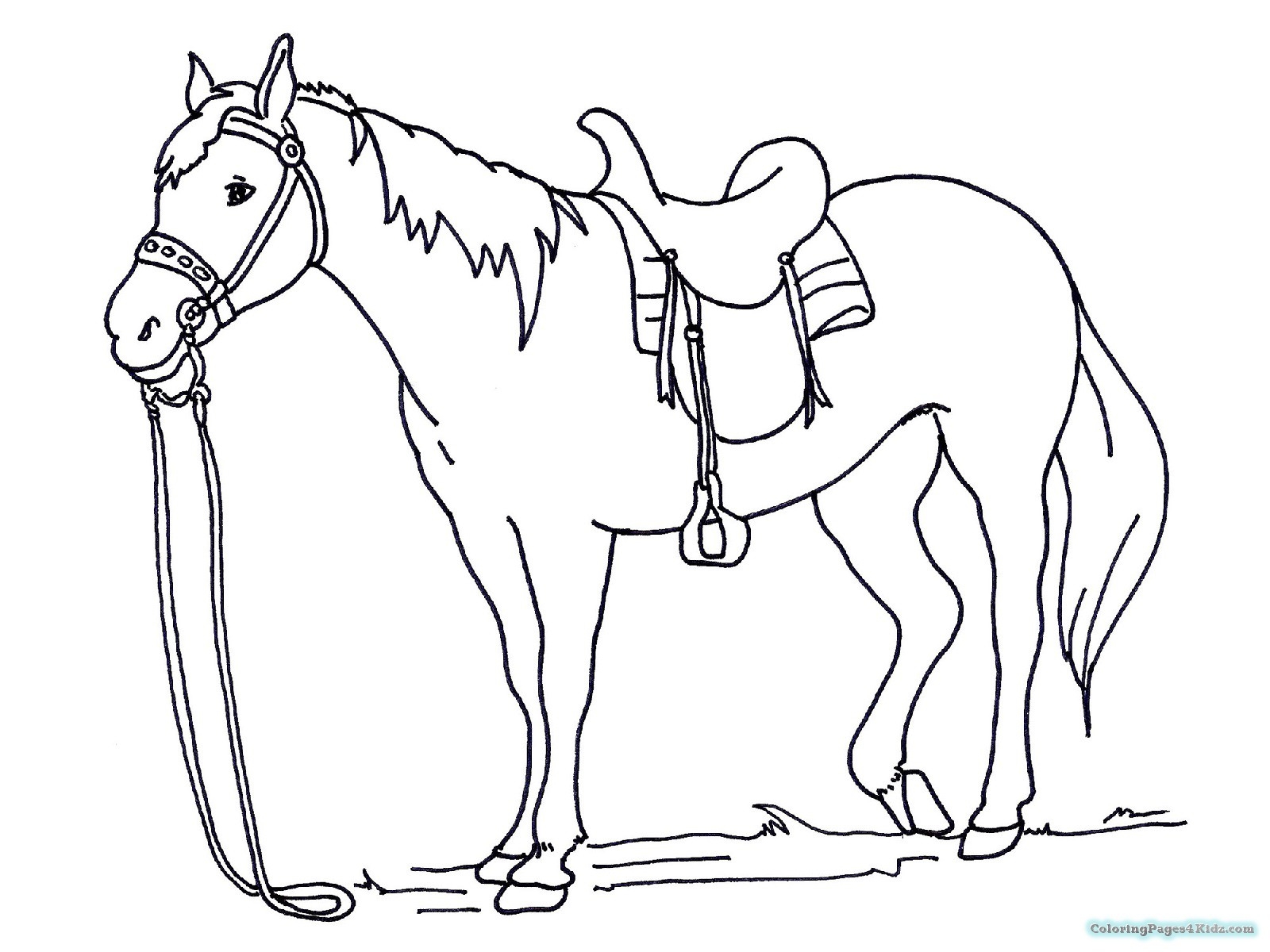 Horse Coloring Pages Spirit At GetDrawings Free Download Horse Coloring Pages Spirit At GetDrawings Free Download