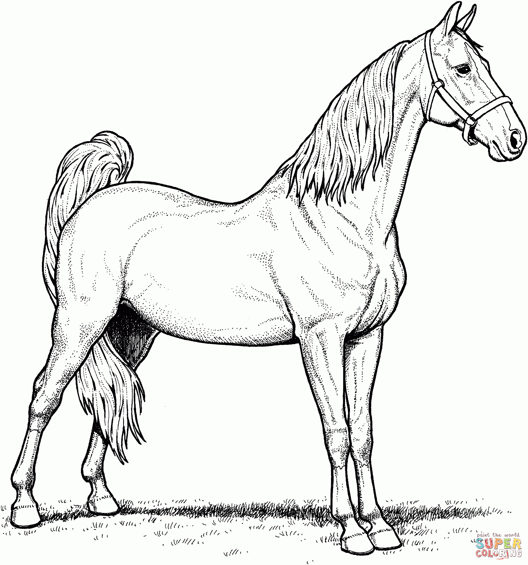 Horse Tack Coloring Pages Coloring Pages Horse Tack Coloring Pages Coloring Pages