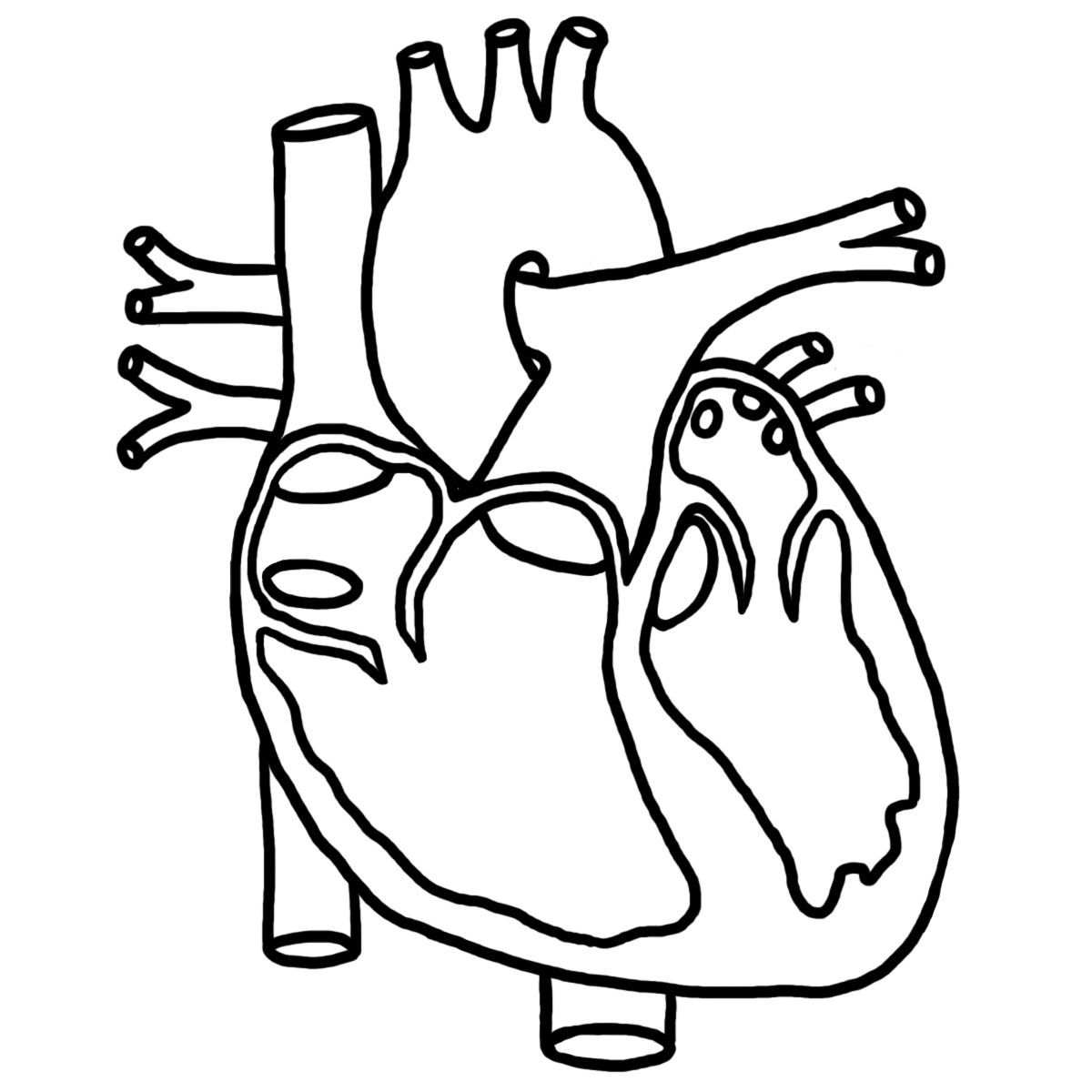 Human Heart Diagram Without Labels Koibana Info Human Heart Diagram