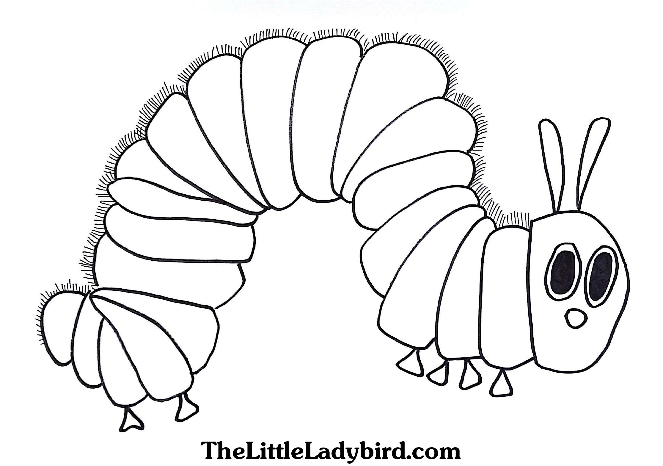 Hungry Caterpillar Coloring Pages Free The Hungry Caterpillar Coloring Hungry Caterpillar Coloring Pages Free The Hungry Caterpillar Coloring
