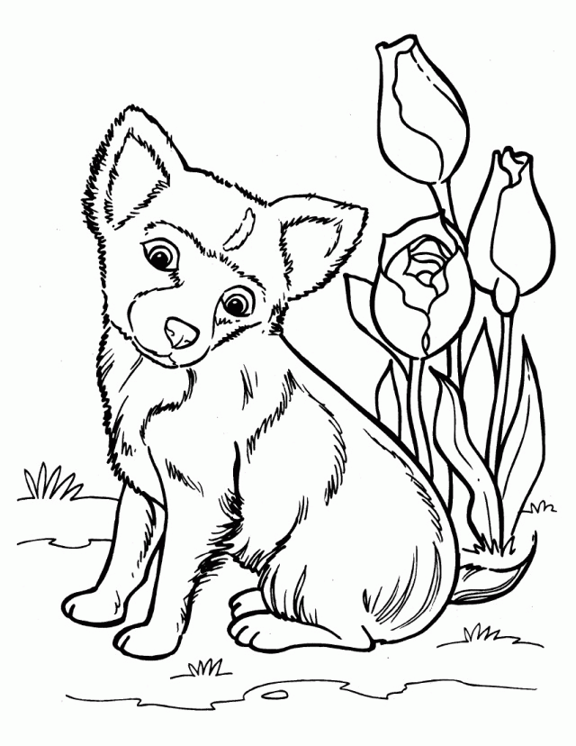 Husky Dog Coloring Pages Printable Husky Coloring Pages Best
