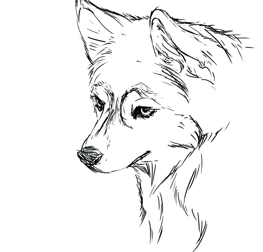 Husky Printable Coloring Pages Husky Printable Coloring Pages