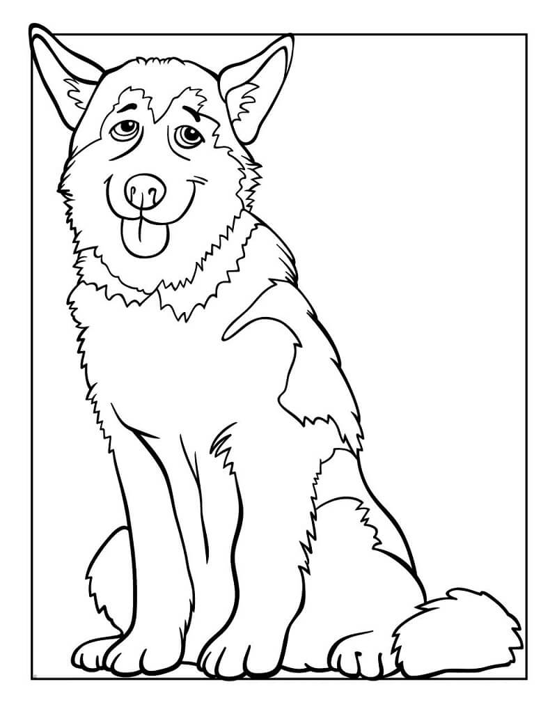 Husky Printable Coloring Pages Husky Printable Coloring Pages