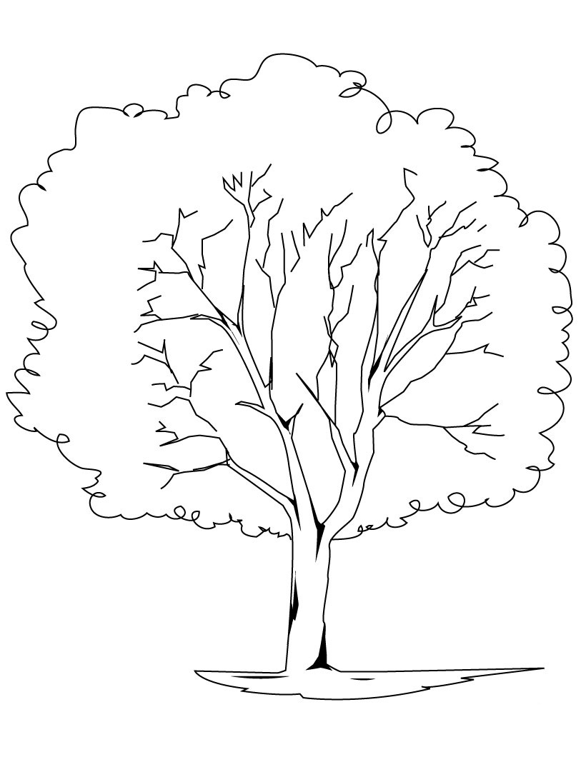 Trees Coloring Pages Printable