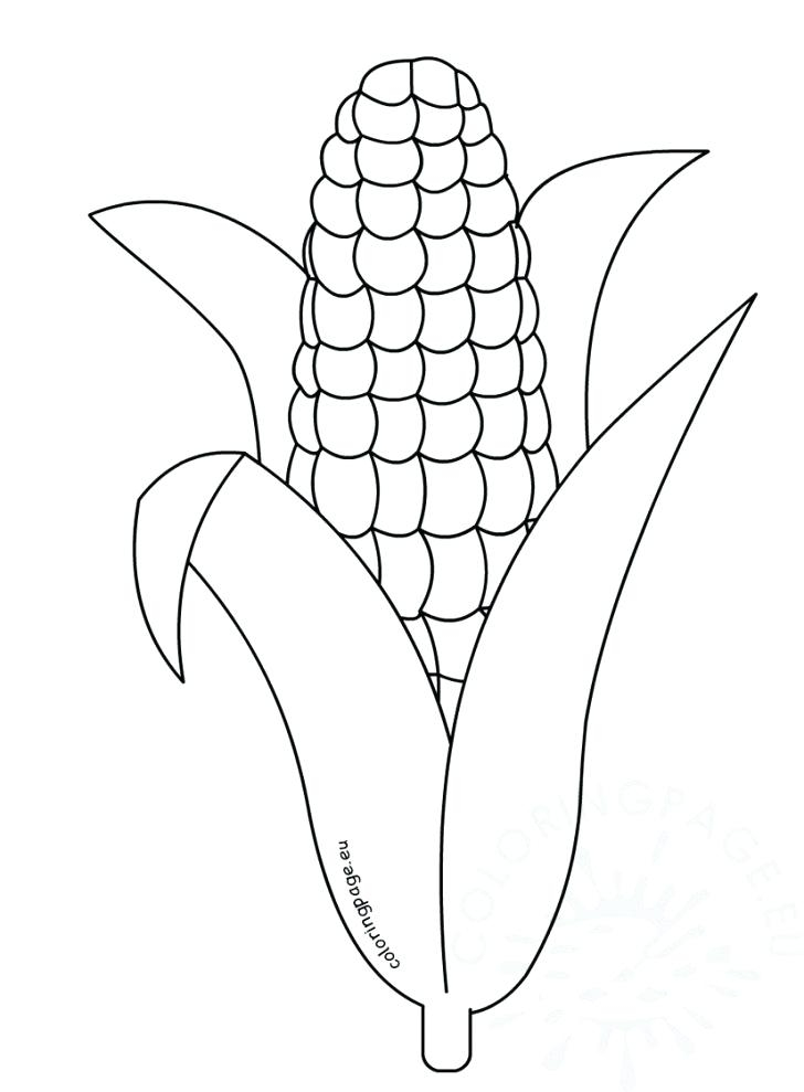 Indian Corn Coloring Page At GetColorings Free Printable Indian Corn Coloring Page At GetColorings Free Printable