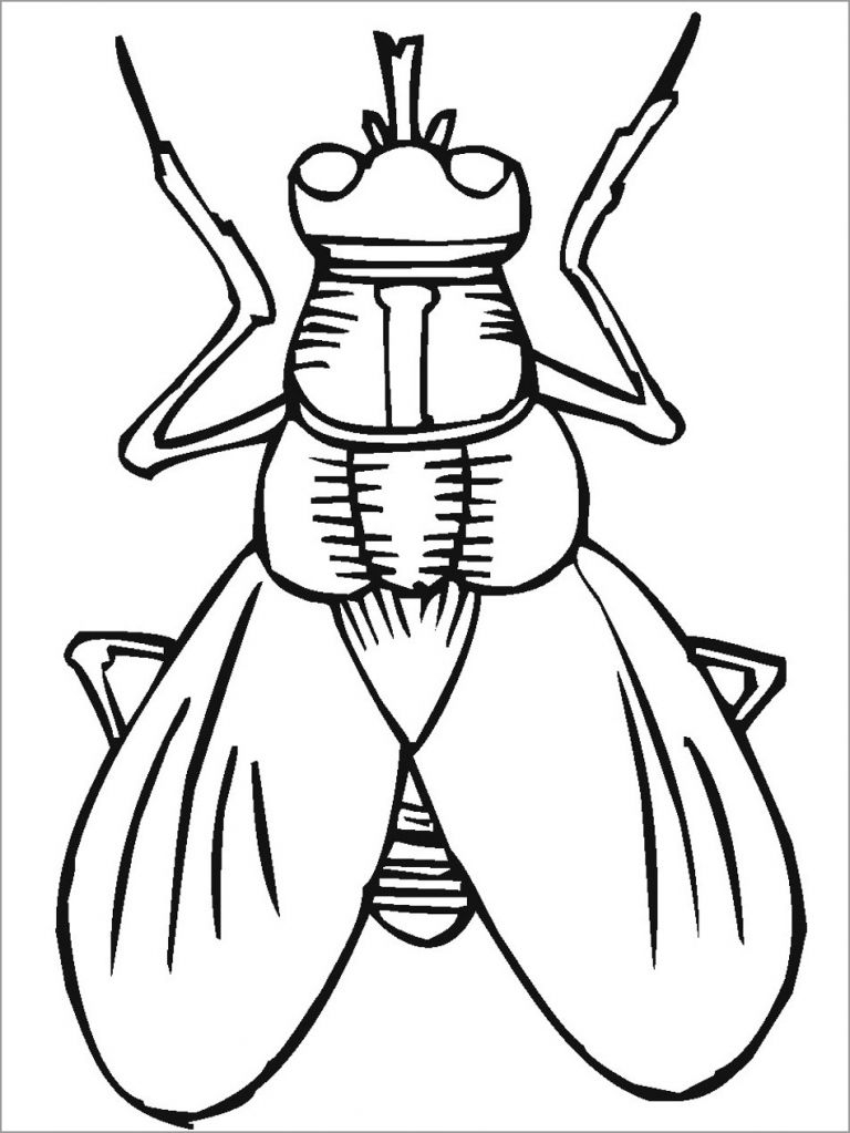 Insect Coloring Pages ColoringBay Insect Coloring Pages ColoringBay