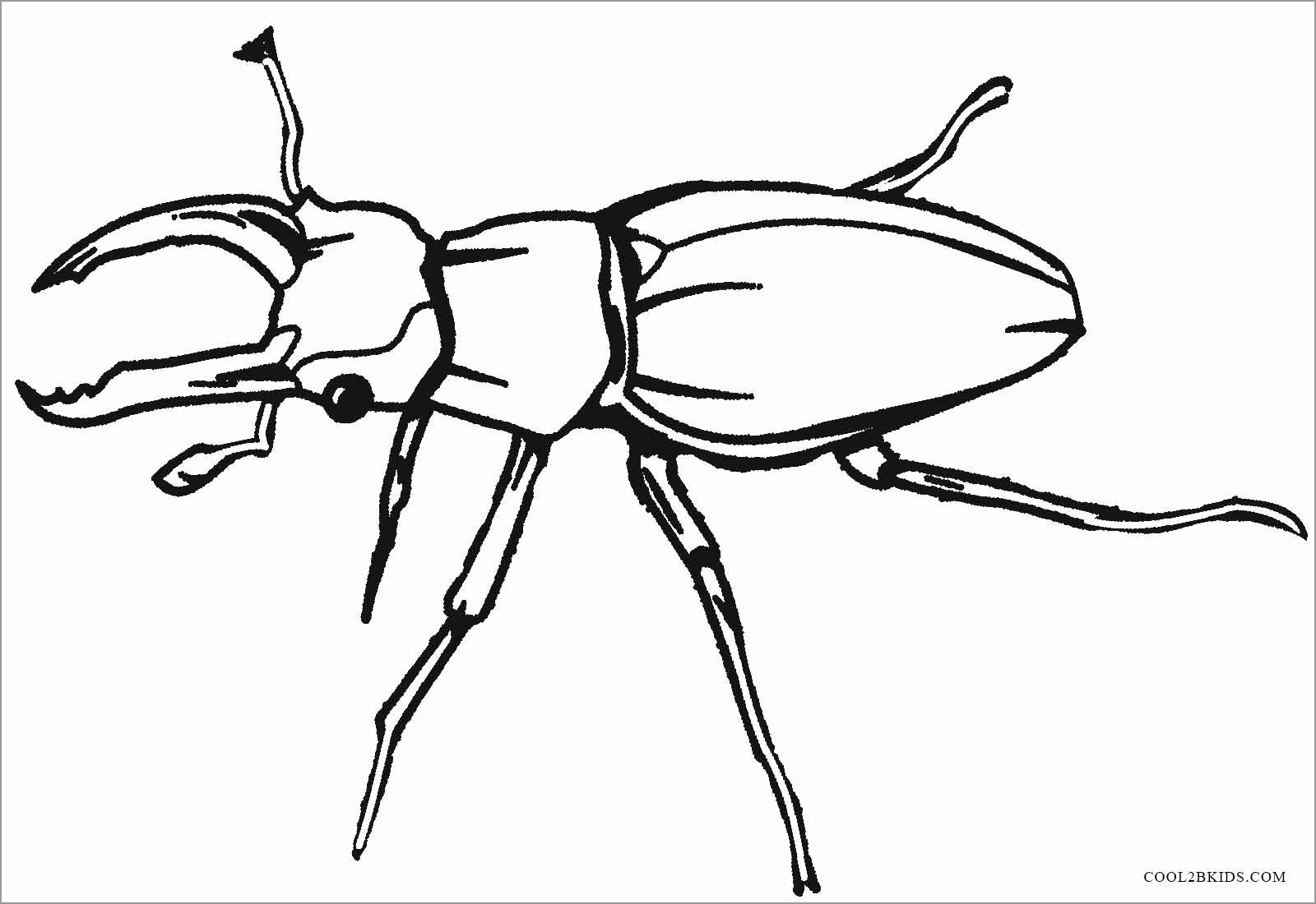 Insect Coloring Pages ColoringBay Insect Coloring Pages ColoringBay