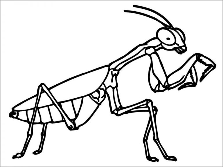 Insect Coloring Pages To Print ColoringBay Insect Coloring Pages To Print ColoringBay