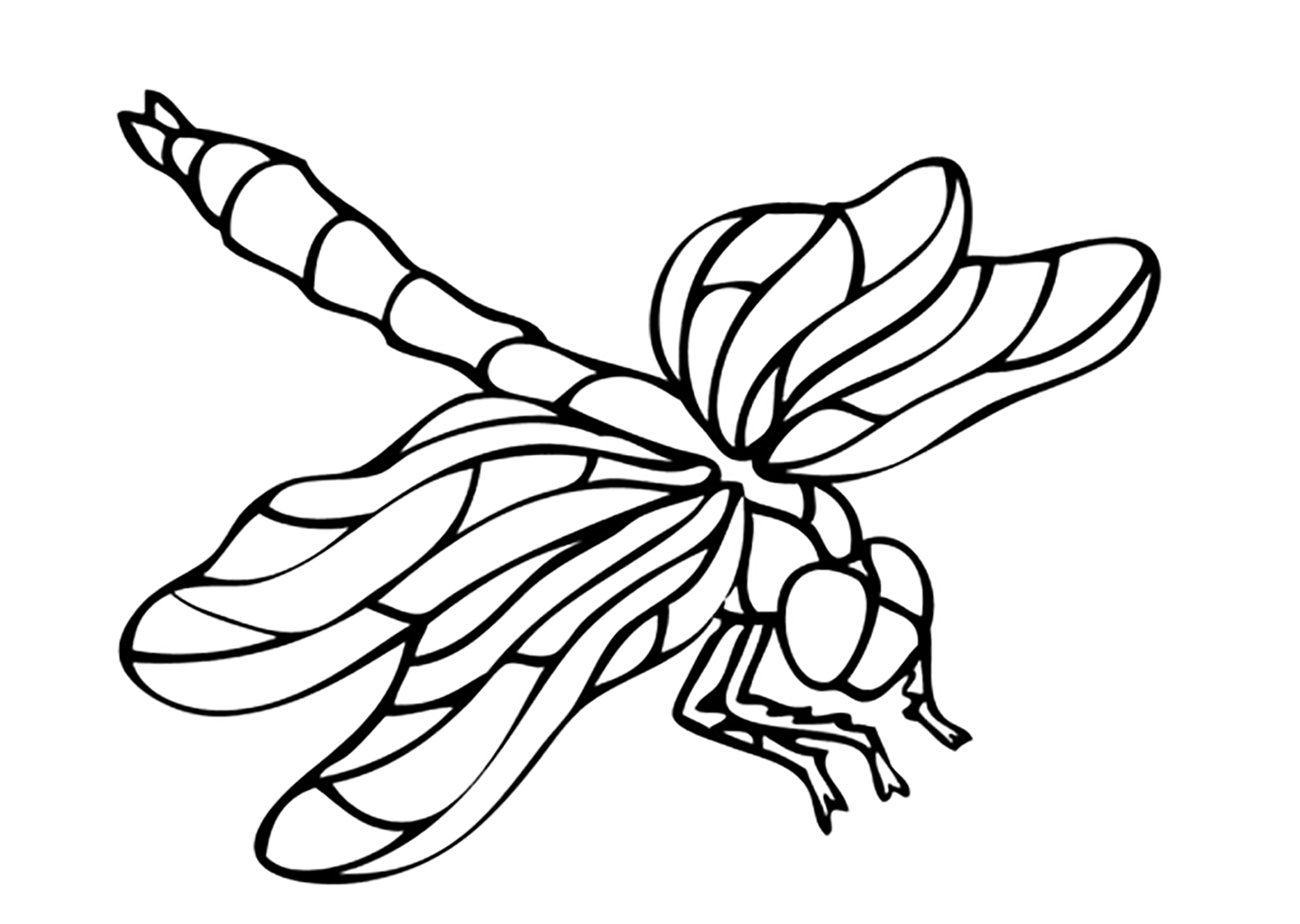 Insect Printable Coloring Pages Insect Printable Coloring Pages