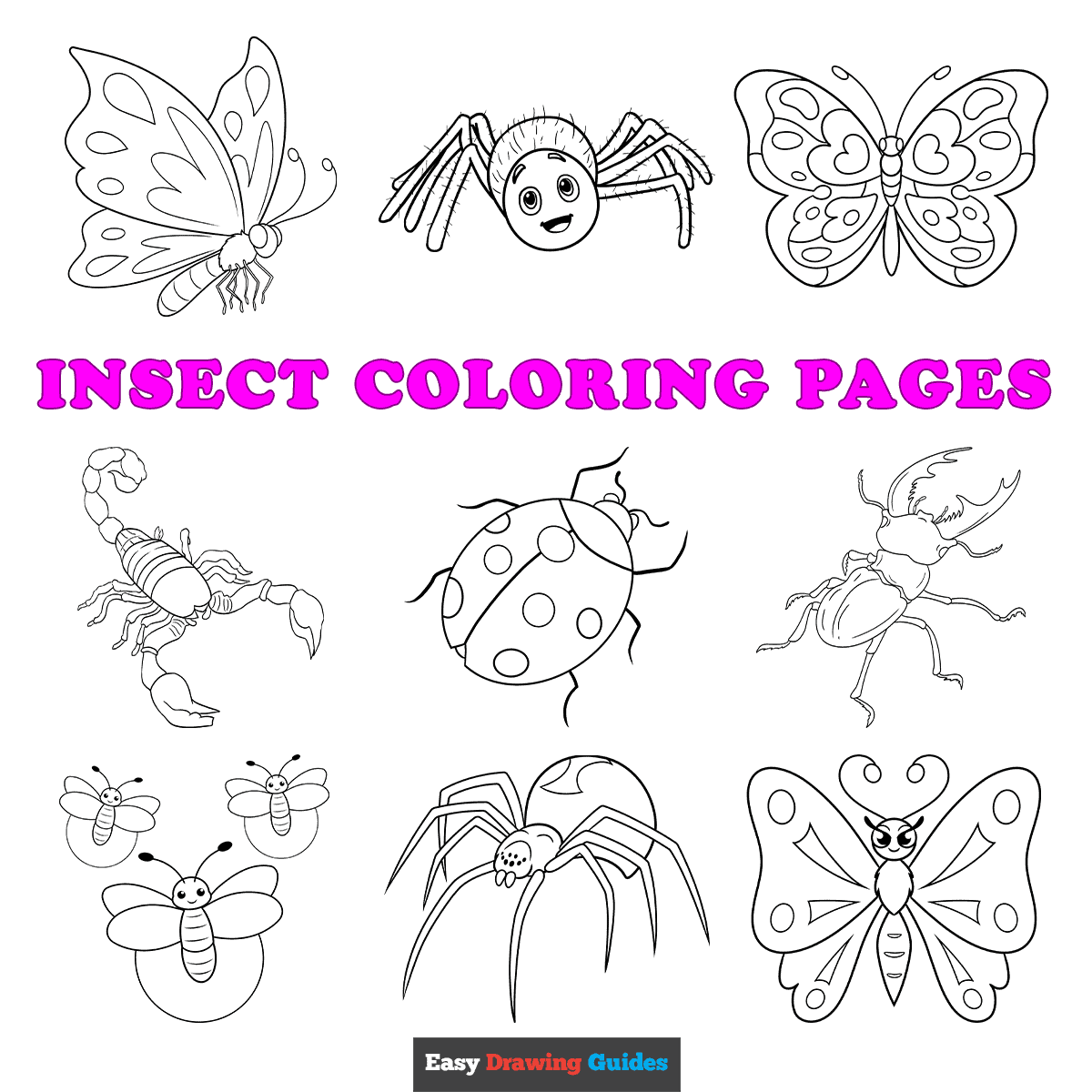 Printable Coloring Pages Insects Printable Coloring Pages Insects