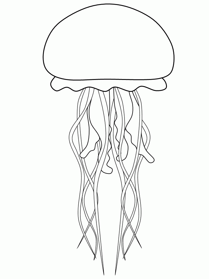 Jellyfish Coloring Pages Printable