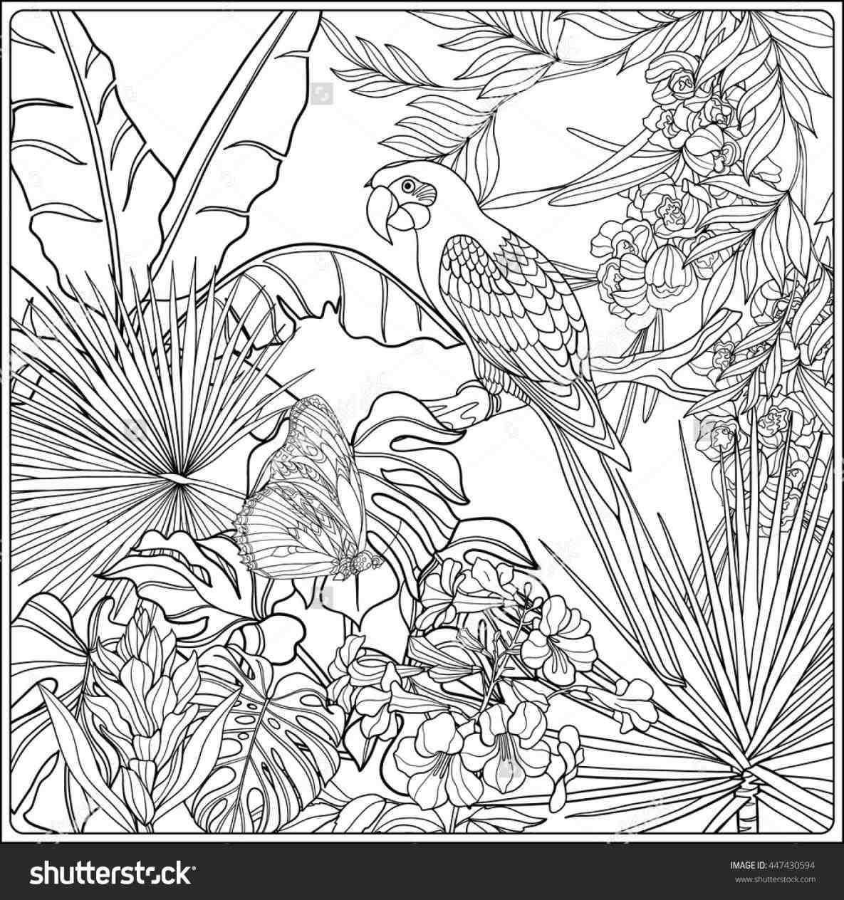 Jungle Printable Coloring Pages Jungle Printable Coloring Pages