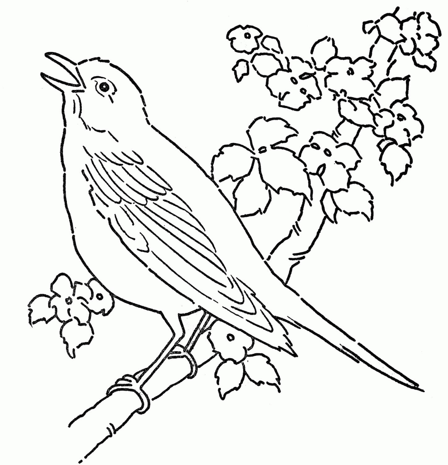 Free Printable Coloring Pages Birds Free Printable Coloring Pages Birds
