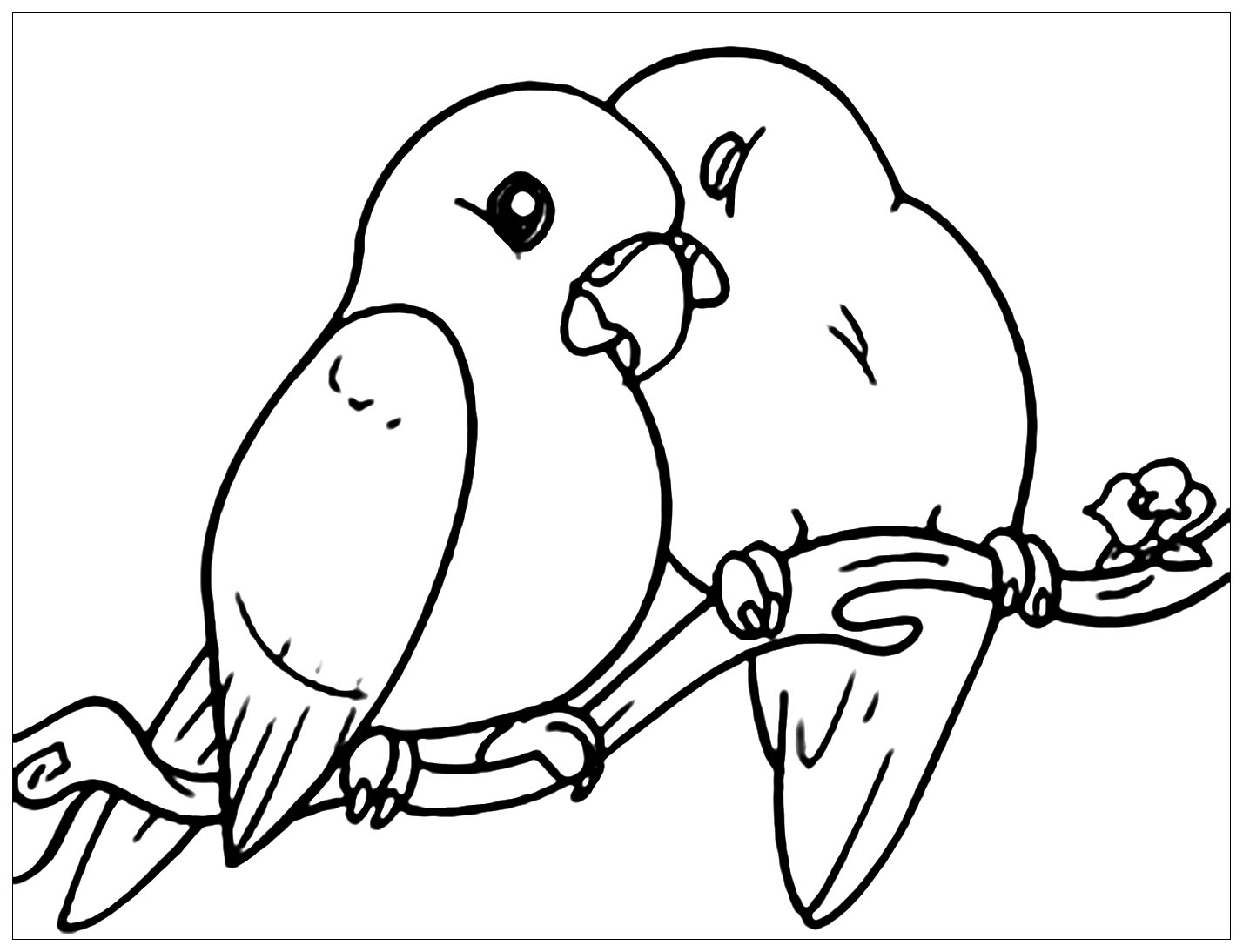 Kids Page Birds Coloring Pages Printable Birds Colori Vrogue Co Kids Page Birds Coloring Pages Printable Birds Colori Vrogue Co