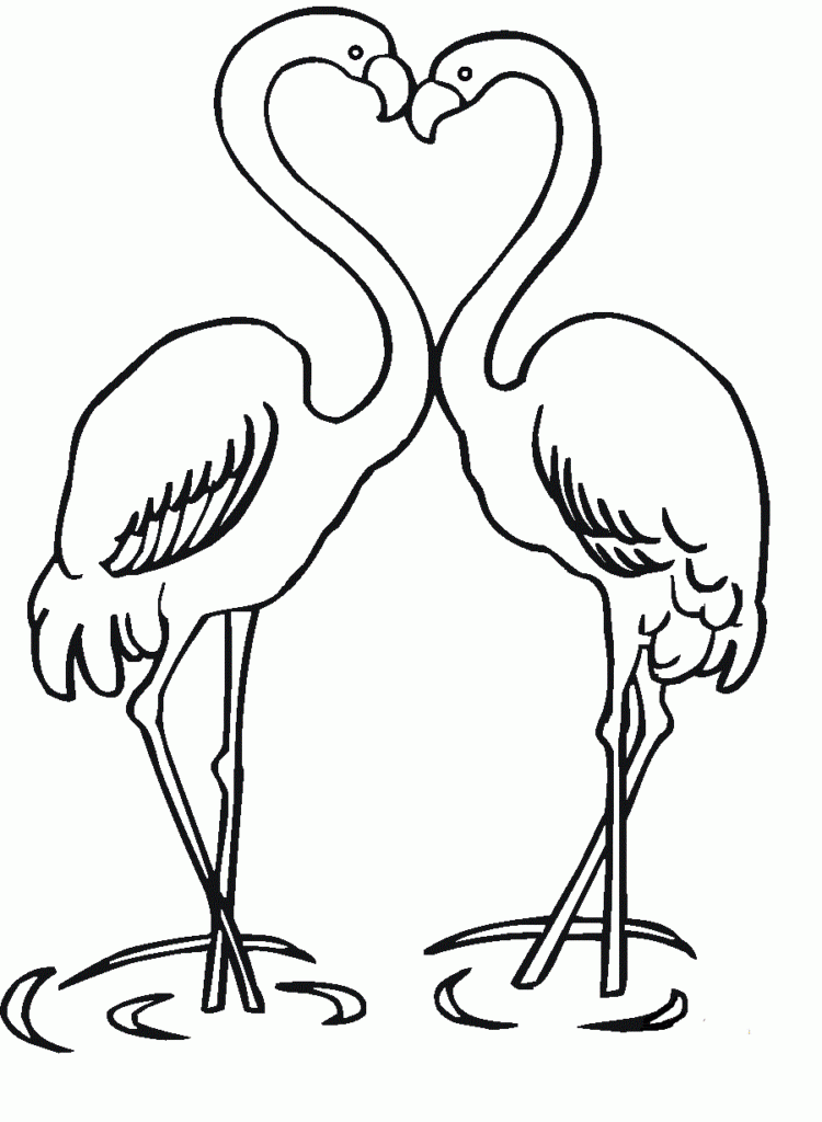 Kleurplaat Flamingo Moeilijk Kleurplaten Van Dieren Vrogue Co