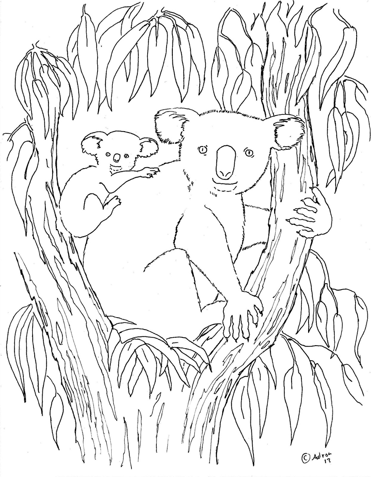 Koala Bear Coloring Pages At Tarleonardoblog Blog Koala Bear Coloring Pages At Tarleonardoblog Blog
