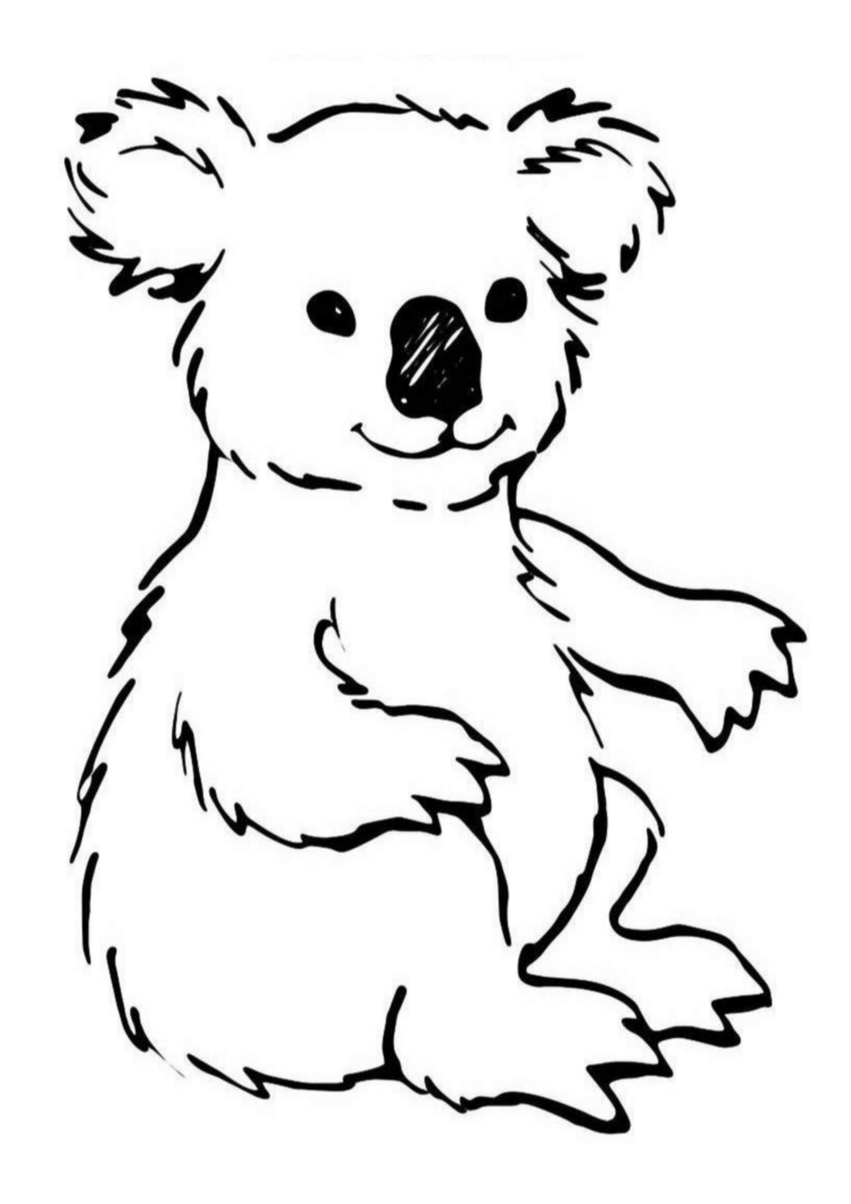 Koala Coloring Pages For Kids Images Animal Place Koala Coloring Pages For Kids Images Animal Place