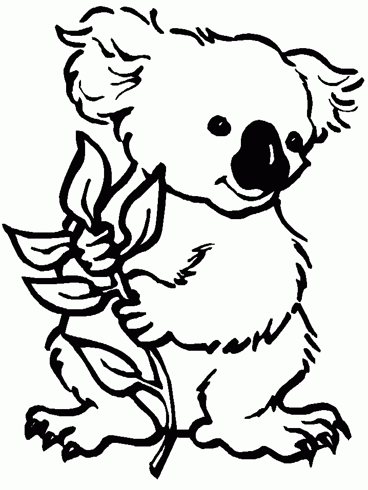 Koala Printable Coloring Pages Koala Printable Coloring Pages