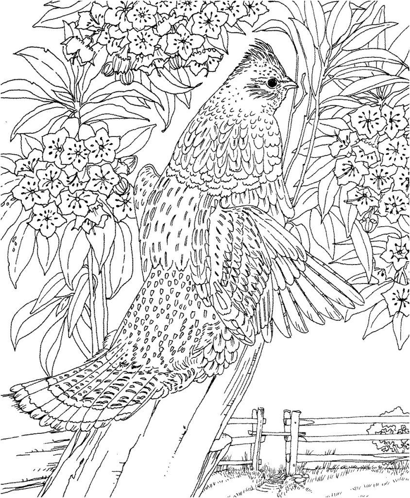 Printable Landscape Coloring Pages Printable Landscape Coloring Pages