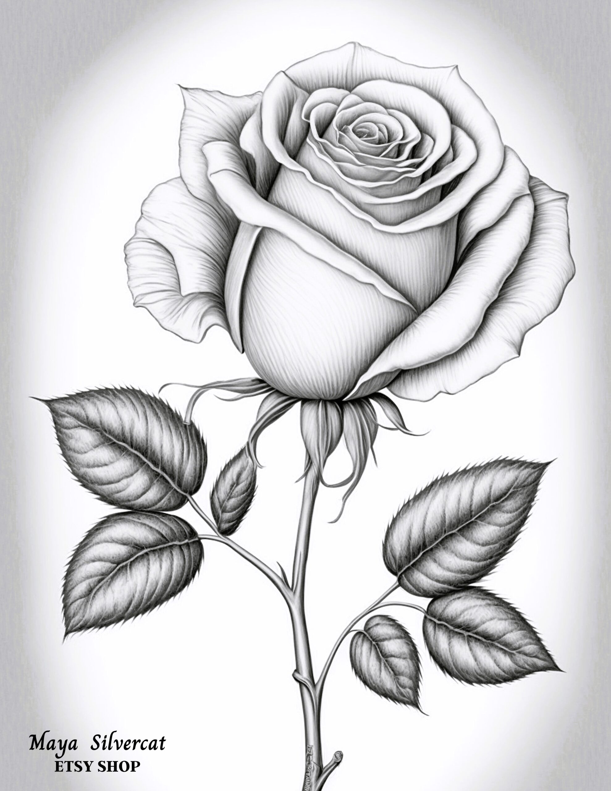 Large Rose 2 Free Grayscale Coloring Page For Adults Rose Coloring Large Rose 2 Free Grayscale Coloring Page For Adults Rose Coloring