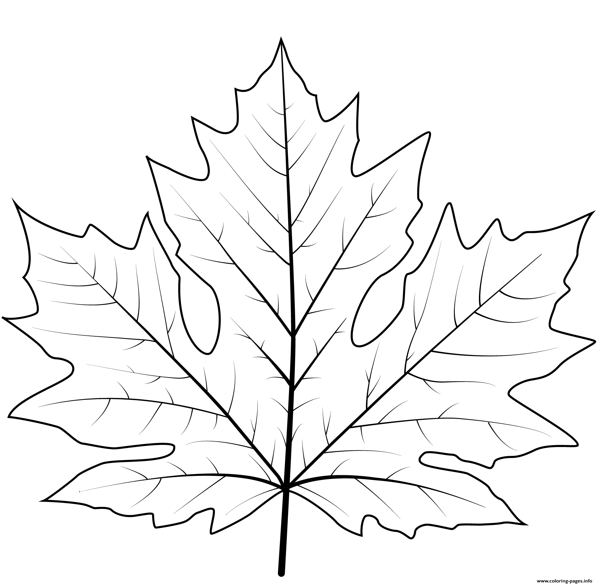Leaf Coloring Page Printable Vrogue Co Leaf Coloring Page Printable Vrogue Co