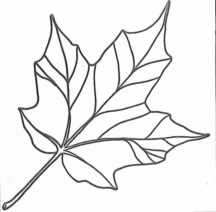 Leaf Coloring Pages Printable Leaf Coloring Pages Printable
